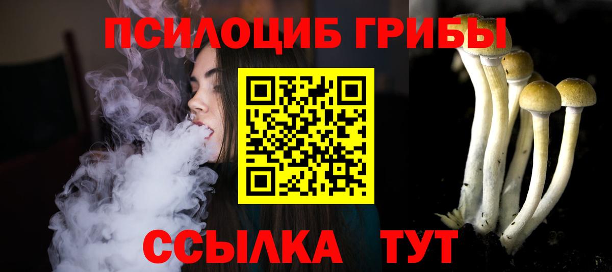 Галлюциногенные грибы прущие грибы Добрянка