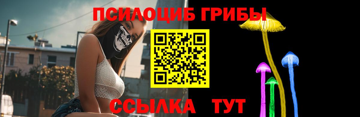 Добрянка  Псилоцибиновые грибы Psilocybe  Вход с VPN 
